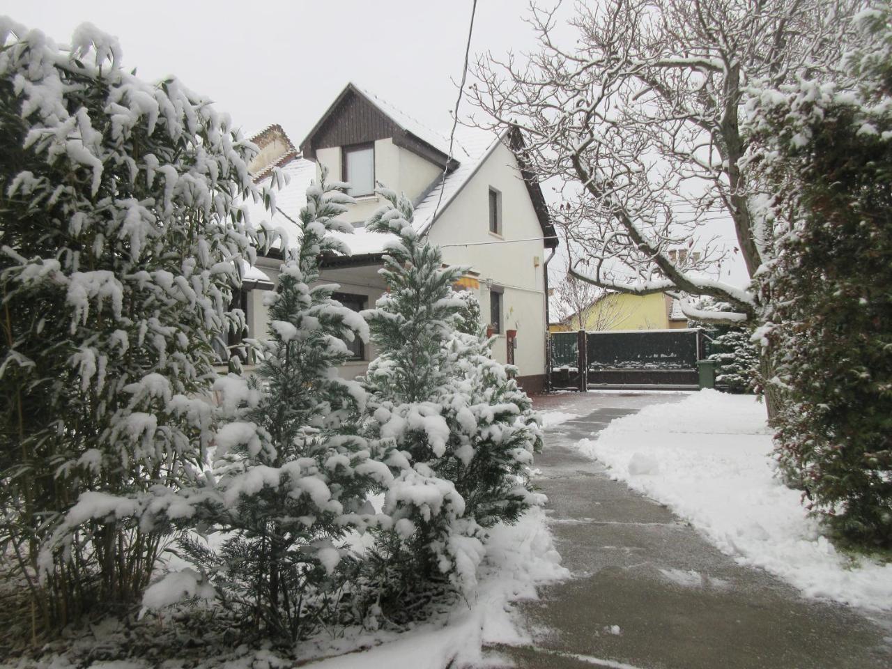 Sissi Residence With Free Parking Lot Budapest Exteriör bild